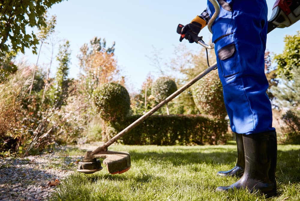 servicio jardineria
