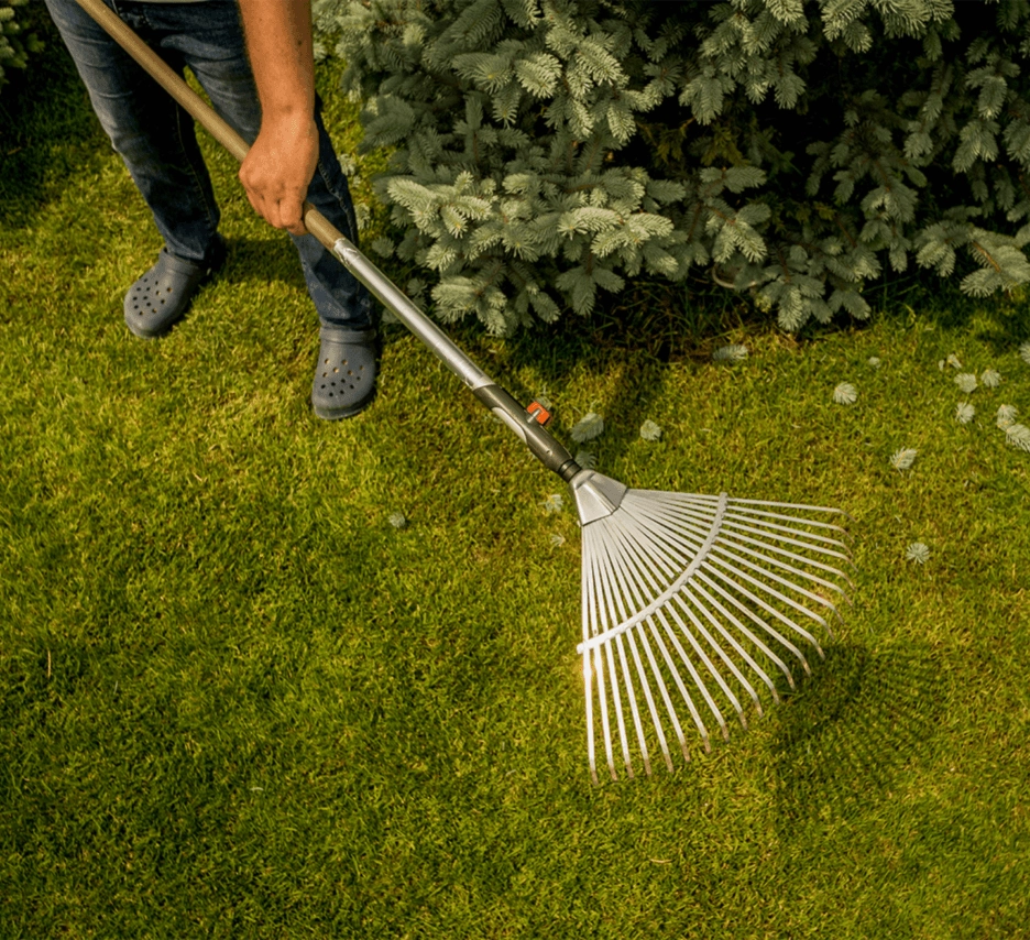 maison helya personnel prestige jardinier paysagiste